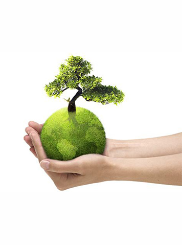 Eco-green Responsibility