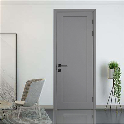 Why not opt for the fashion internal wooden door?